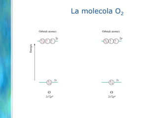 La molecola O2
 