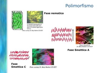 Polimorfismo
             Fase nematica




                             Fase Smettica A




Fase
Smettica C
 
