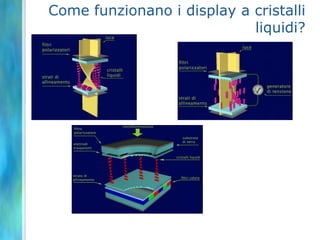 Come funzionano i display a cristalli
                            liquidi?
 