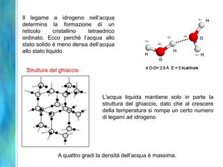 Il legame a idrogeno nell’acqua
determina la formazione di un
reticolo      cristallino tetraedrico
ordinato. Ecco perché l’acqua allo
stato solido è meno densa dell’acqua
allo stato liquido


 Struttura del ghiaccio



                                L’acqua liquida mantiene solo in parte la
                                struttura del ghiaccio, dato che al crescere
                                della temperatura si rompe un certo numero
                                di legami ad idrogeno




              A quattro gradi la densità dell’acqua è massima.
 