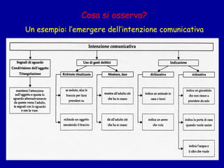 Cosa si osserva?
Un esempio: l’emergere dell’intenzione comunicativa

 