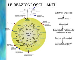 LE REAZIONI OSCILLANTI
Substrato Organico
Acido Citrico
Ossidanti
Bromato Di Potassio In
Ambiente Acido
Enzimi e Coenzimi
Ioni Metallici Ce(IV)
 