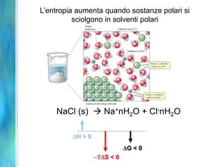 NaCl (s)  Na+nH2O + Cl-nH2O
H > 0
S < 0
G < 0
L’entropia aumenta quando sostanze polari si
sciolgono in solventi polari
 