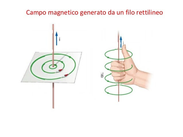 Campo Magnetico Filo Percorso Da Corrente