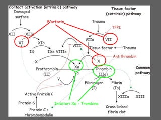 Warfarin
Inibitori Xa - Trombina
 
