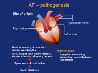 AF – pathogenesis
• Multiple re-entry circuits with
shorter wavelengths
• Atrial tissues with highly variable,
shorter effective refractory periods
Spiral wave of contraction
Rapid atrial rate
Pulmonary veins
Right atrium
Left atrium
Site of origin
Maintenance:
• Lengthen the waiting
(refractory) period between
excitations
 