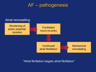 AF – pathogenesis
Atrial remodelling
Mechanical
remodelling
Continued
atrial fibrillation
Facilitated
micro-re-entry
Shortening of
action potential
duration
“Atrial fibrillation begets atrial fibrillation”
 