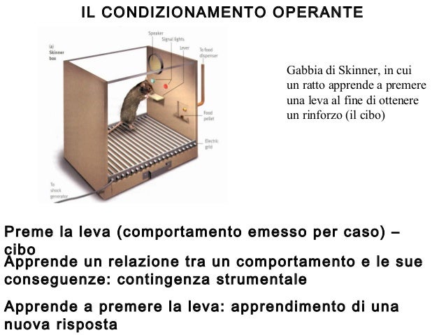 Il Padre Del Condizionamento Operante è Lezione i