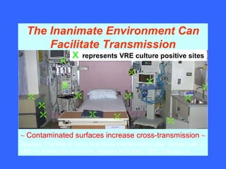 The Inanimate Environment Can
Facilitate Transmission
~ Contaminated surfaces increase cross-transmission ~
Abstract: The Risk of Hand and Glove Contamination after Contact with a
VRE (+) Patient Environment. Hayden M, ICAAC, 2001, Chicago, IL.
X represents VRE culture positive sites
 