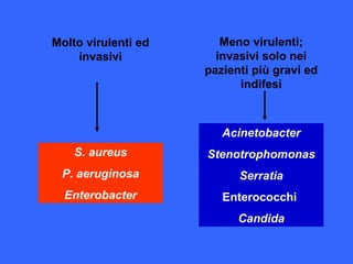 Molto virulenti ed
invasivi
S. aureus
P. aeruginosa
Enterobacter
Meno virulenti;
invasivi solo nei
pazienti più gravi ed
indifesi
Acinetobacter
Stenotrophomonas
Serratia
Enterococchi
Candida
 