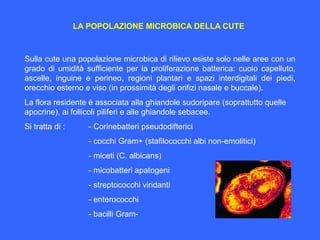 LA POPOLAZIONE MICROBICA DELLA CUTE
Sulla cute una popolazione microbica di rilievo esiste solo nelle aree con un
grado di umidità sufficiente per la proliferazione batterica: cuoio capelluto,
ascelle, inguine e perineo, regioni plantari e spazi interdigitali dei piedi,
orecchio esterno e viso (in prossimità degli orifizi nasale e buccale).
La flora residente è associata alla ghiandole sudoripare (soprattutto quelle
apocrine), ai follicoli piliferi e alle ghiandole sebacee.
Si tratta di : - Corinebatteri pseudodifterici
- cocchi Gram+ (stafilococchi albi non-emolitici)
- miceti (C. albicans)
- micobatteri apatogeni
- streptococchi viridanti
- enterococchi
- bacilli Gram-
 