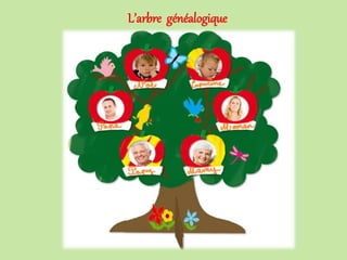 L’arbre généalogique
 