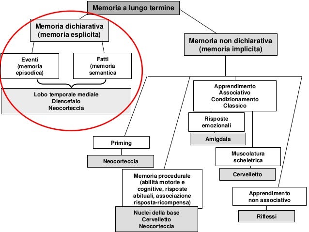 Memoria A Breve Termine Test Per Bambini Lezione memoria 27 28