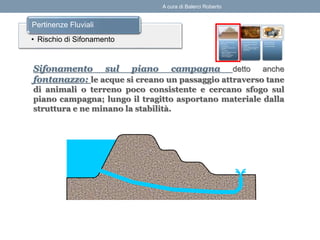 Sifonamento sul piano campagna detto anche
fontanazzo: le acque si creano un passaggio attraverso tane
di animali o terreno poco consistente e cercano sfogo sul
piano campagna; lungo il tragitto asportano materiale dalla
struttura e ne minano la stabilità.
• Rischio di Sifonamento
Pertinenze Fluviali
A cura di Balerci Roberto
 