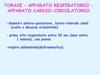 TORACE – APPARATO RESPIRATORIO –
APPARATO CARDIO-CIRCOLATORIO
• diametri antero-posteriore, latero-laterale simili
(coste a decorso orizzontale)
• primo atto respiratorio entro 30 sec (max entro
1 minuto), con pianto
•respiro addominale(diaframmatico)

 