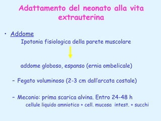 Adattamento del neonato alla vita
extrauterina
• Addome

Ipotonia fisiologica della parete muscolare

addome globoso, espanso (ernia ombelicale)
– Fegato voluminoso (2-3 cm dall’arcata costale)
– Meconio: prima scarica alvina. Entro 24-48 h
cellule liquido amniotico + cell. mucosa intest. + succhi

 