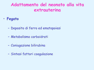 Adattamento del neonato alla vita
extrauterina
• Fegato
– Deposito di ferro ed ematopoiesi
– Metabolismo carboidrati
– Coniugazione bilirubina
– Sintesi fattori coagulazione

 
