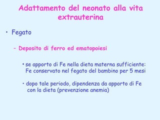 Adattamento del neonato alla vita
extrauterina
• Fegato
– Deposito di ferro ed ematopoiesi
• se apporto di Fe nella dieta materna sufficiente:
Fe conservato nel fegato del bambino per 5 mesi
• dopo tale periodo, dipendenza da apporto di Fe
con la dieta (prevenzione anemia)

 