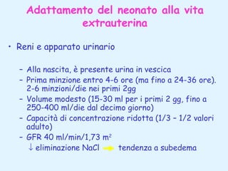Adattamento del neonato alla vita
extrauterina
• Reni e apparato urinario
– Alla nascita, è presente urina in vescica
– Prima minzione entro 4-6 ore (ma fino a 24-36 ore).
2-6 minzioni/die nei primi 2gg
– Volume modesto (15-30 ml per i primi 2 gg, fino a
250-400 ml/die dal decimo giorno)
– Capacità di concentrazione ridotta (1/3 – 1/2 valori
adulto)
– GFR 40 ml/min/1,73 m2
↓ eliminazione NaCl
tendenza a subedema

 
