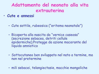 Adattamento del neonato alla vita
extrauterina

• Cute e annessi

– Cute sottile, rubeosica (“eritema neonatale”)
– Ricoperta alla nascita da “vernice caseosa”
(secrezione sebacea, detriti cellule
epidermiche).Protegge da azione macerante del
liquido amniotico
– Sottocutaneo ben sviluppato nel nato a termine, ma
non nel pretermine
– mili sebacei, telangiectasie, macchie mongoliche

 