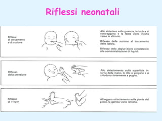 Riflessi neonatali

 