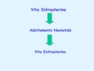 Vita Intrauterina

Adattamento Neonatale

Vita Extrauterina

 