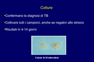 Colture
•Confermano la diagnosi di TB
•Coltivare tutti i campioni, anche se negativi allo striscio
•Risultati in 4-14 giorni
Colonie di M. tuberculosis
 