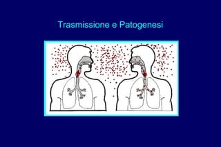 Trasmissione e Patogenesi
 