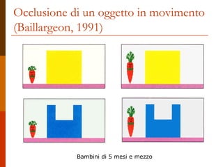 Occlusione di un oggetto in movimento
(Baillargeon, 1991)

Bambini di 5 mesi e mezzo

 