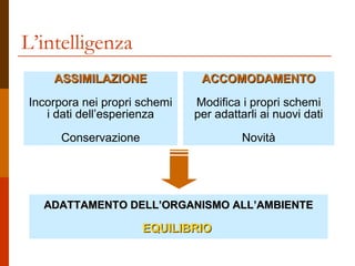 L’intelligenza
ASSIMILAZIONE

ACCOMODAMENTO

Incorpora nei propri schemi
i dati dell’esperienza

Modifica i propri schemi
per adattarli ai nuovi dati

Conservazione

Novità

ADATTAMENTO DELL’ORGANISMO ALL’AMBIENTE

EQUILIBRIO

 