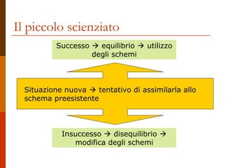Il piccolo scienziato
Successo  equilibrio  utilizzo
degli schemi

Situazione nuova  tentativo di assimilarla allo
schema preesistente

Insuccesso  disequilibrio 
modifica degli schemi

 