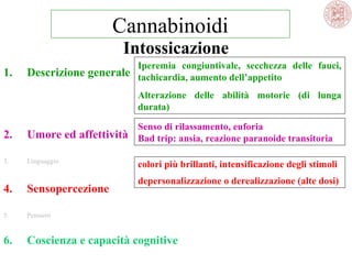 Cannabinoidi
Intossicazione
1.

Iperemia congiuntivale, secchezza delle fauci,

Descrizione generale tachicardia, aumento dell’appetito

Alterazione delle abilità motorie (di lunga
durata)

2.

Umore ed affettività

Senso di rilassamento, euforia
Bad trip: ansia, reazione paranoide transitoria

3.

Linguaggio

colori più brillanti, intensificazione degli stimoli
depersonalizzazione o derealizzazione (alte dosi)

4.

Sensopercezione

5.

Pensiero

6.

Coscienza e capacità cognitive

 