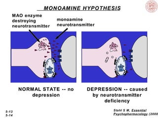 MONOAMINE HYPOTHESIS
MAO enzyme
destroying
neurotransmitter

monoamine
neurotransmitter

NORMAL STATE -- no
depression

5-13
5-14

DEPRESSION -- caused
by neurotransmitter
deficiency
Stahl S M, Essential
Psychopharmacology (2000

 