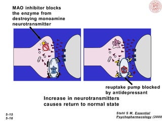 MAO inhibitor blocks
the enzyme from
destroying monoamine
neurotransmitter

reuptake pump blocked
by antidepressant

Increase in neurotransmitters
causes return to normal state
5-15
5-16

Stahl S M, Essential
Psychopharmacology (2000

 