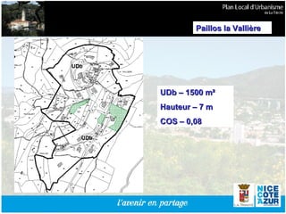 UDb – 1500 m² Hauteur – 7 m  COS – 0,08 Paillos la Vallière 