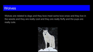 Wolves
Wolves are related to dogs and they love meet some love snow and they live in
the woods and they are really cool and they are really fluffy and the pups are
really cute.
 