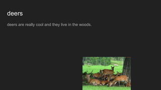 deers
deers are really cool and they live in the woods.
 