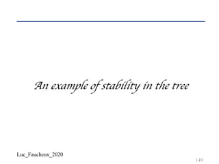 Luc_Faucheux_2020
149
An example of stability in the tree
 
