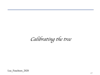 Luc_Faucheux_2020
47
Calibrating the tree
 
