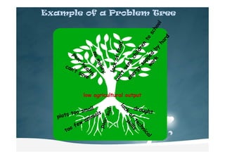 Example of a Problem Tree
low agricultural output
 