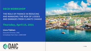 THE ROLE OF FINANCE IN REDUCING
AND MANAGING THE RISK OF LOSSES
AND DAMAGES FROM CLIMATE CHANGE
Thursday, April 15, 2021
Lizra Fabien
Executive Director, DAIC
Immediate Past Chair, CARICHAM
OECD WORKSHOP
 