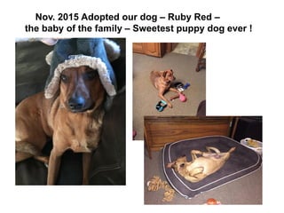 Nov. 2015 Adopted our dog – Ruby Red –
the baby of the family – Sweetest puppy dog ever !
 
