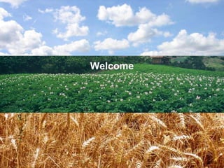 Welcome
 