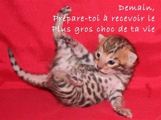 Demain, Prépare-toi à recevoir le Plus gros choc de ta vie 