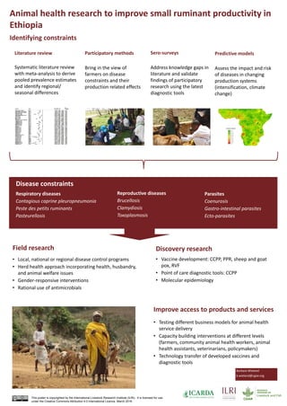 Animal health research to improve small ruminant productivity in
Ethiopia
This poster is copyrighted by the International Livestock Research Institute (ILRI). It is licensed for use
under the Creative Commons Attribution 4.0 International Licence. March 2016
Identifying constraints
Participatory methods
Bring in the view of
farmers on disease
constraints and their
production related effects
Sero-surveys
Address knowledge gaps in
literature and validate
findings of participatory
research using the latest
diagnostic tools
Literature review
Systematic literature review
with meta-analysis to derive
pooled prevalence estimates
and identify regional/
seasonal differences
Field research Discovery research
Predictive models
Assess the impact and risk
of diseases in changing
production systems
(intensification, climate
change)
• Local, national or regional disease control programs
• Herd health approach incorporating health, husbandry,
and animal welfare issues
• Gender-responsive interventions
• Rational use of antimicrobials
• Vaccine development: CCPP, PPR, sheep and goat
pox, RVF
• Point of care diagnostic tools: CCPP
• Molecular epidemiology
Improve access to products and services
• Testing different business models for animal health
service delivery
• Capacity building interventions at different levels
(farmers, community animal health workers, animal
health assistants, veterinarians, policymakers)
• Technology transfer of developed vaccines and
diagnostic tools
Disease constraints
Respiratory diseases
Contagious caprine pleuropneumonia
Peste des petits ruminants
Pasteurellosis
Reproductive diseases
Brucellosis
Clamydiosis
Toxoplasmosis
Parasites
Coenurosis
Gastro-intestinal parasites
Ecto-parasites
Barbara Wieland
b.wieland@cgiar.org
 