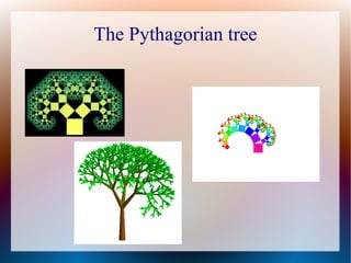 The Pythagorian tree
 