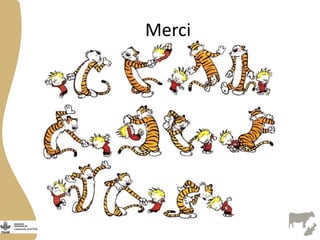 Sélection des sites : Chaine de valeur des petits ruminants au Burkina Faso