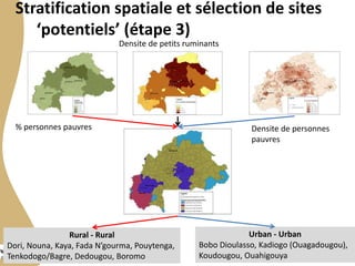 Sélection des sites : Chaine de valeur des petits ruminants au Burkina Faso