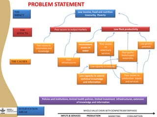 Update on Burkina Faso Small Ruminant Value Chain Development Program 