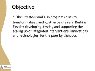 Update on Burkina Faso Small Ruminant Value Chain Development Program 